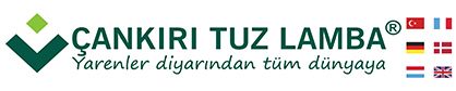 Çankırı Tuz Lamba