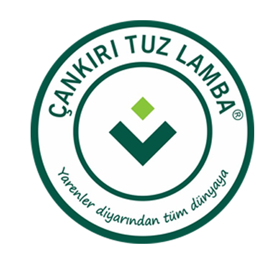 Çankırı Tuz Lamba Logo