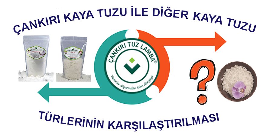 Çankırı Kaya Tuzu ile Diğer Kaya Tuzu Türlerinin Karşılaştırılması