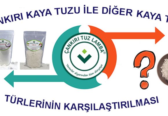 Çankırı Kaya Tuzu ile Diğer Kaya Tuzu Türlerinin Karşılaştırılması