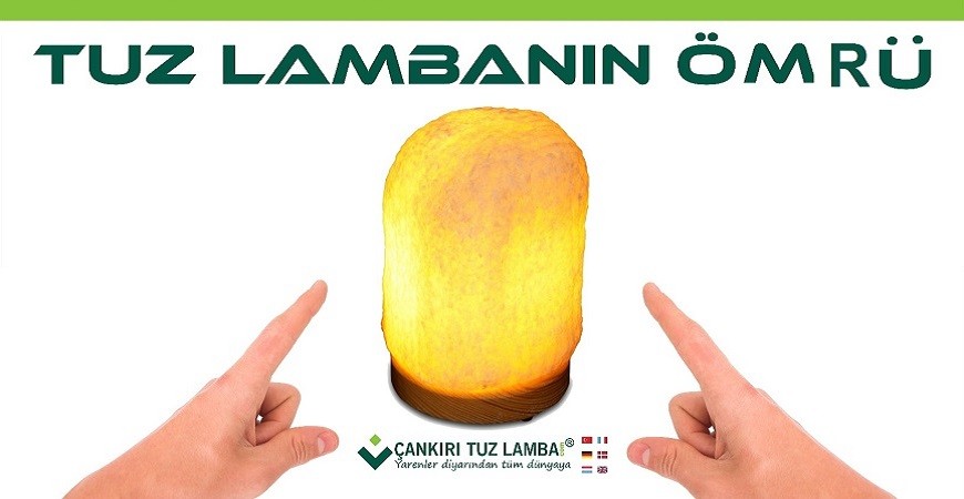 Tuz Lambasının Ömrü