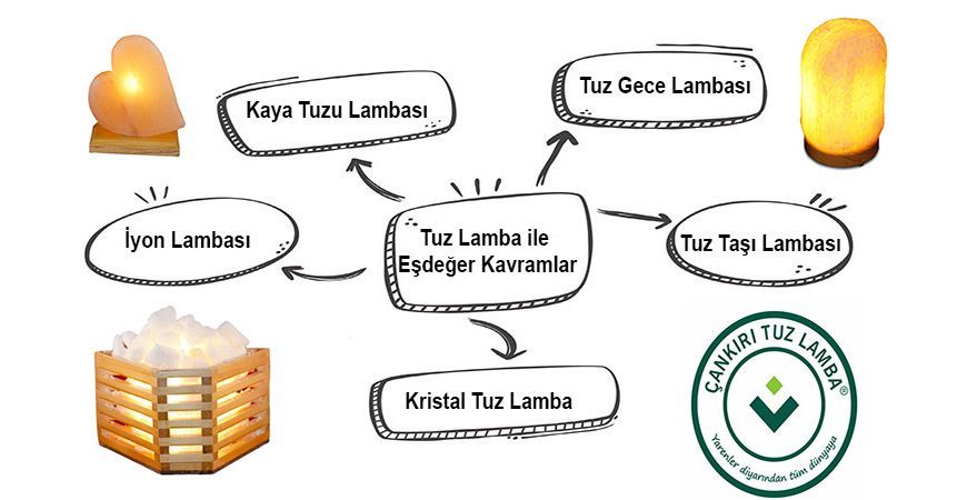 Tuz Lamba ile Eşdeğer Kavramlar 