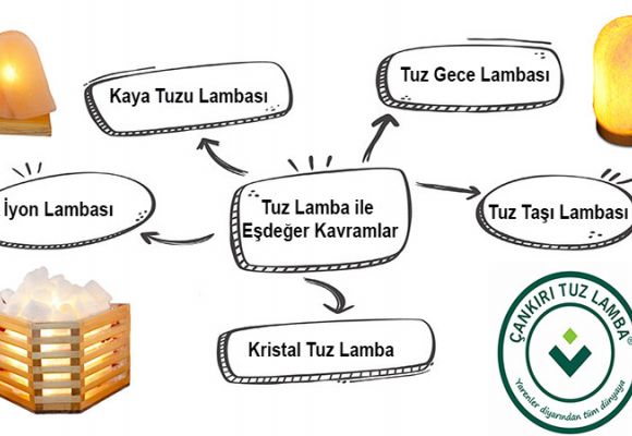 Tuz Lamba ile Eşdeğer Kavramlar 