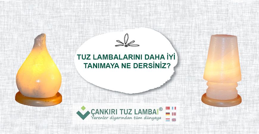 Tuz Lambalarını Daha İyi Tanımaya Ne Dersiniz?