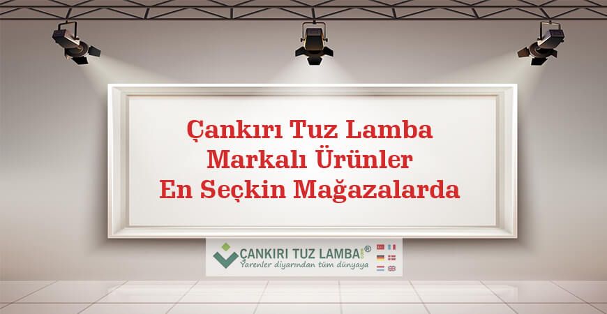 Çankırı Tuz Lamba Markalı Ürünler En Seçkin Mağazalarda