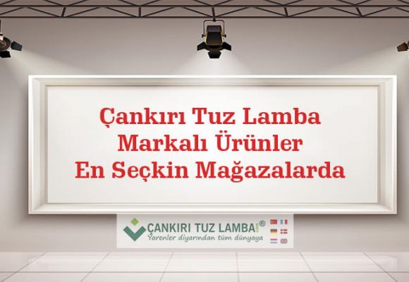 Çankırı Tuz Lamba Markalı Ürünler En Seçkin Mağazalarda