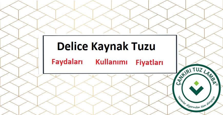 Doğal Delice Kaynak Tuzu Nedir, Faydaları ve Fiyatları Nelerdir?