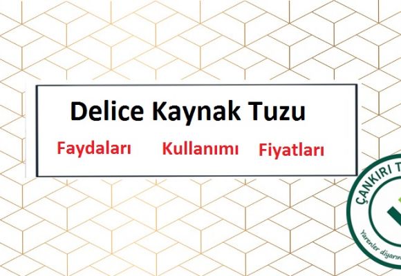 Doğal Delice Kaynak Tuzu Nedir, Faydaları ve Fiyatları Nelerdir?