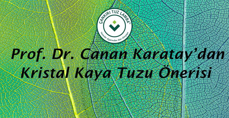 Prof. Dr. Canan Karatay’dan Kristal Kaya Tuzu Önerisi