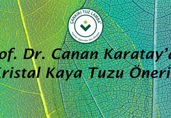 Prof. Dr. Canan Karatay’dan Kristal Kaya Tuzu Önerisi