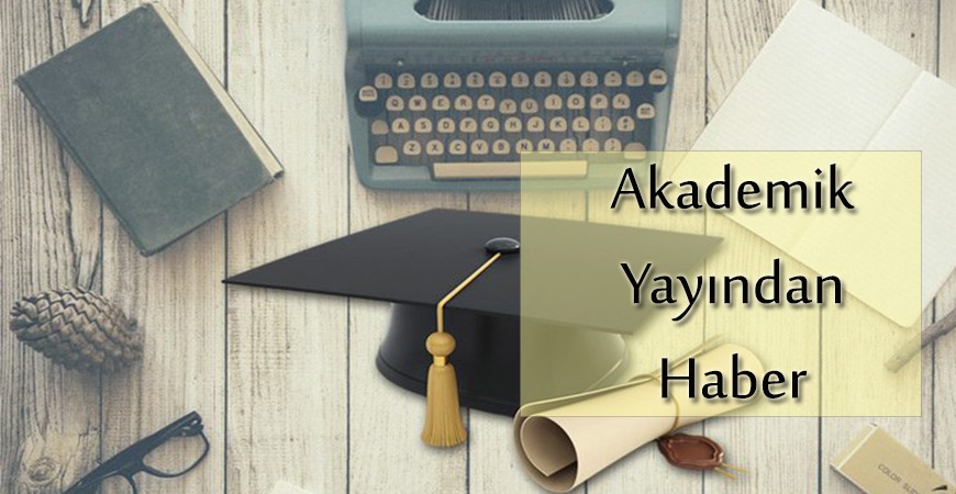  Kaya Tuzu Hakkında Akademik Bilgiler