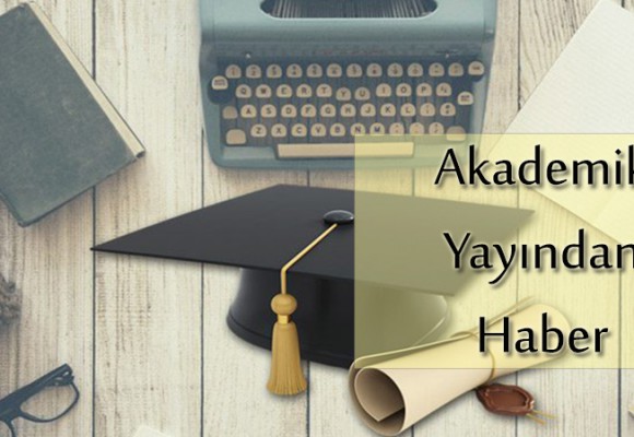  Kaya Tuzu Hakkında Akademik Bilgiler