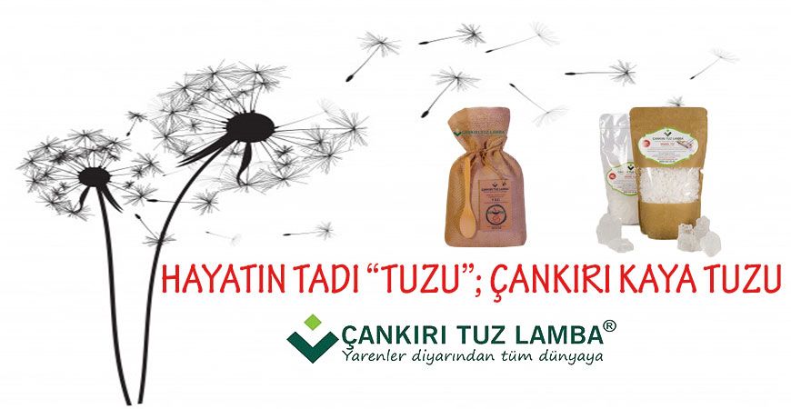 Hayatın Tadı “Tuzu”; Çankırı Kaya Tuzu