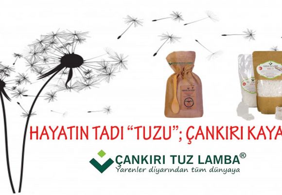 Hayatın Tadı “Tuzu”; Çankırı Kaya Tuzu