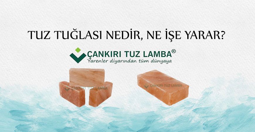 Tuz Tuğlası Nedir, Ne İşe Yarar?