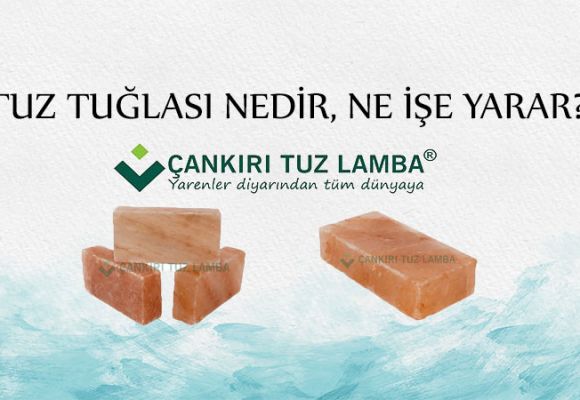 Tuz Tuğlası Nedir, Ne İşe Yarar?