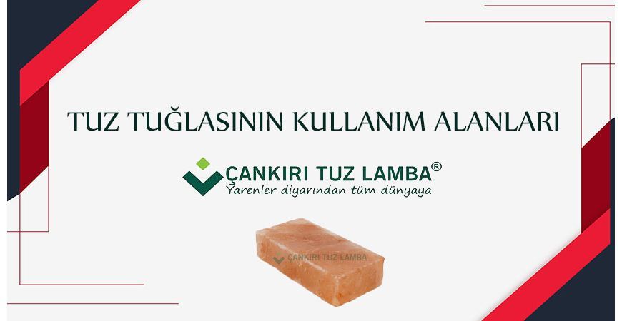 Tuz Tuğlasının Kullanım Alanları