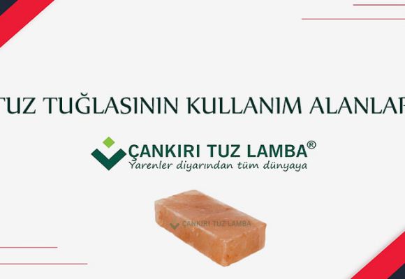 Tuz Tuğlasının Kullanım Alanları