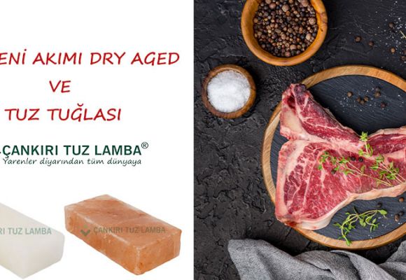 Etin Yeni Akımı Dry Aged ve Tuz Tuğlası 