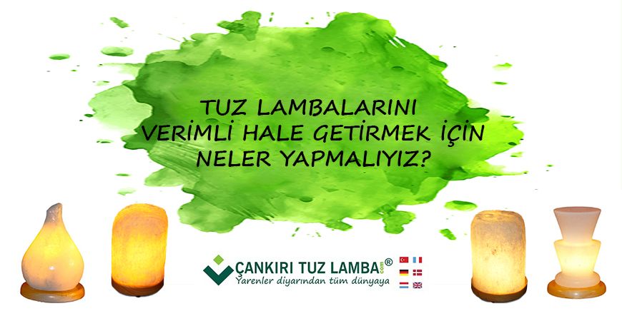 Tuz Lambalarını Verimli Hale Getirmek İçin Neler Yapmalıyız?