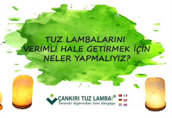 Tuz Lambalarını Verimli Hale Getirmek İçin Neler Yapmalıyız?