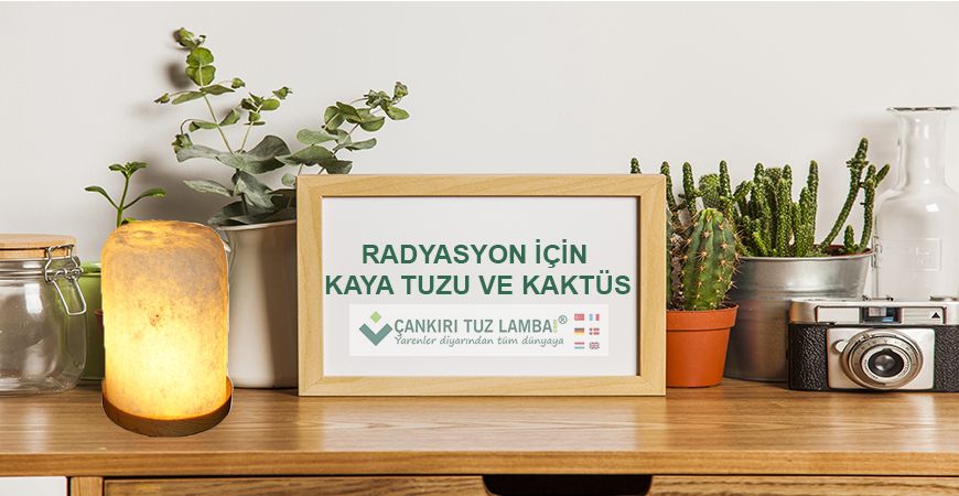 Radyasyon İçin Kaya Tuzu ve Kaktüs