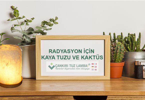 Radyasyon İçin Kaya Tuzu ve Kaktüs