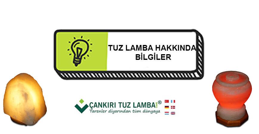 Tuz Lamba Hakkında Bilgiler