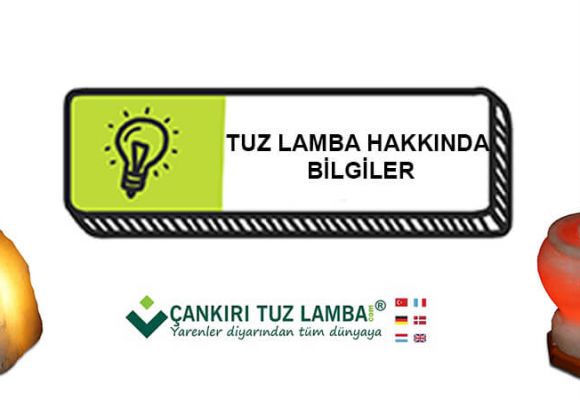 Tuz Lamba Hakkında Bilgiler